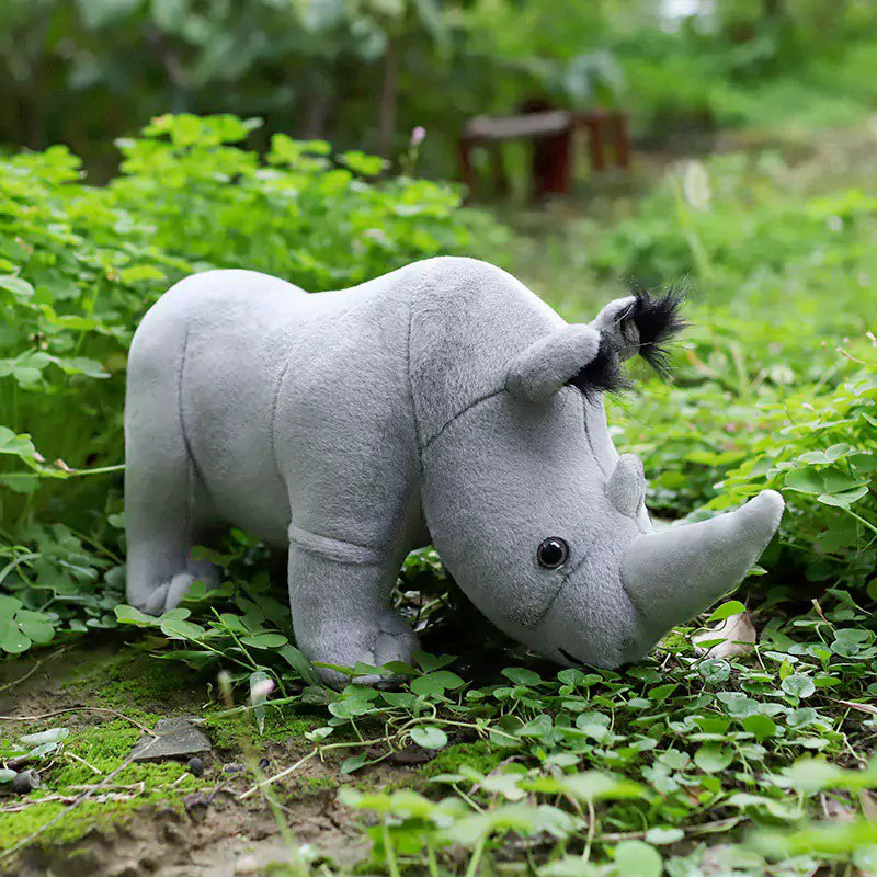 rhinoceros in the forest