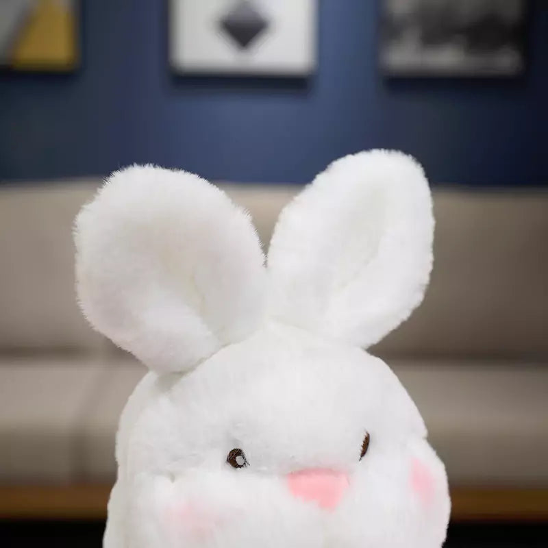 the white fat rabbit fills the doll face