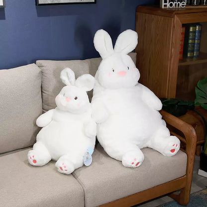 a pair of plump white rabbit stuffed dolls